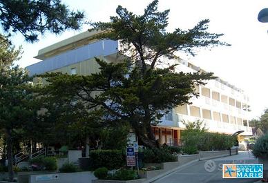 Pineta - Bilocale stagionale