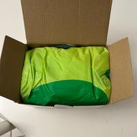 Costume gonfiabile T-Rex