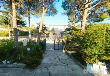 2 vani Castellabate con giardino 22-31 agosto