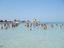 Immagine 13