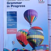 grammar in progress 
