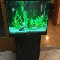 Acquario con pesci, accessori e filtro