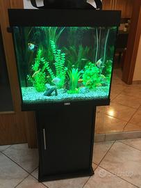 Acquario con pesci, accessori e filtro