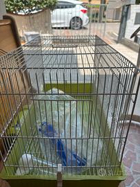 Gabbietta per uccelli