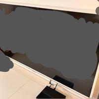 Tv Samsung bianco 46 pollici con decoder e staffa