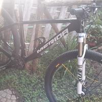 bici mtb 29