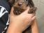 Immagine 3
