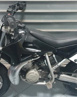 Minimotard Polini