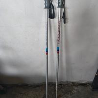 Bastoncini sci Dynastar