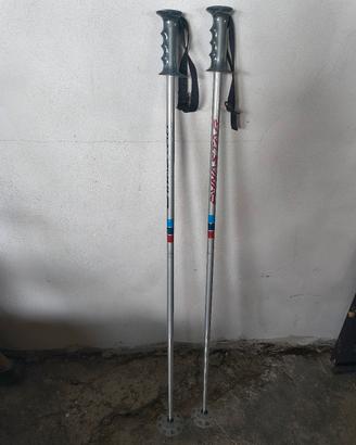 Bastoncini sci Dynastar