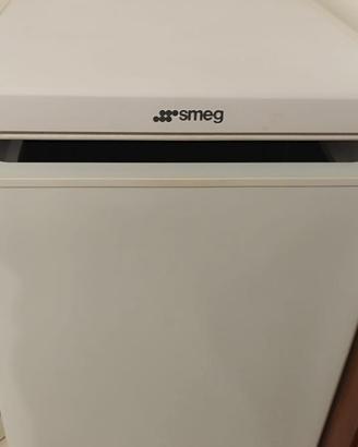 Freezer a pozzetto SMEG