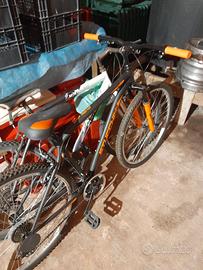 Bici sportiva Stucchi