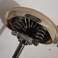 Sella graziella carnielli