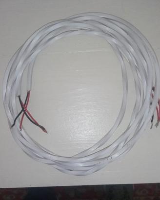 cavi di potenza Audioquest Q2 
