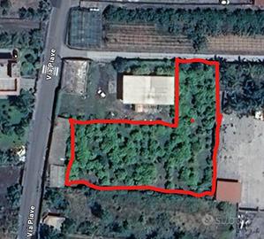 Terreno Agricolo 3100Mq Pianeggiante Acireale Sant