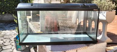 Acquario Askoll 170 litri