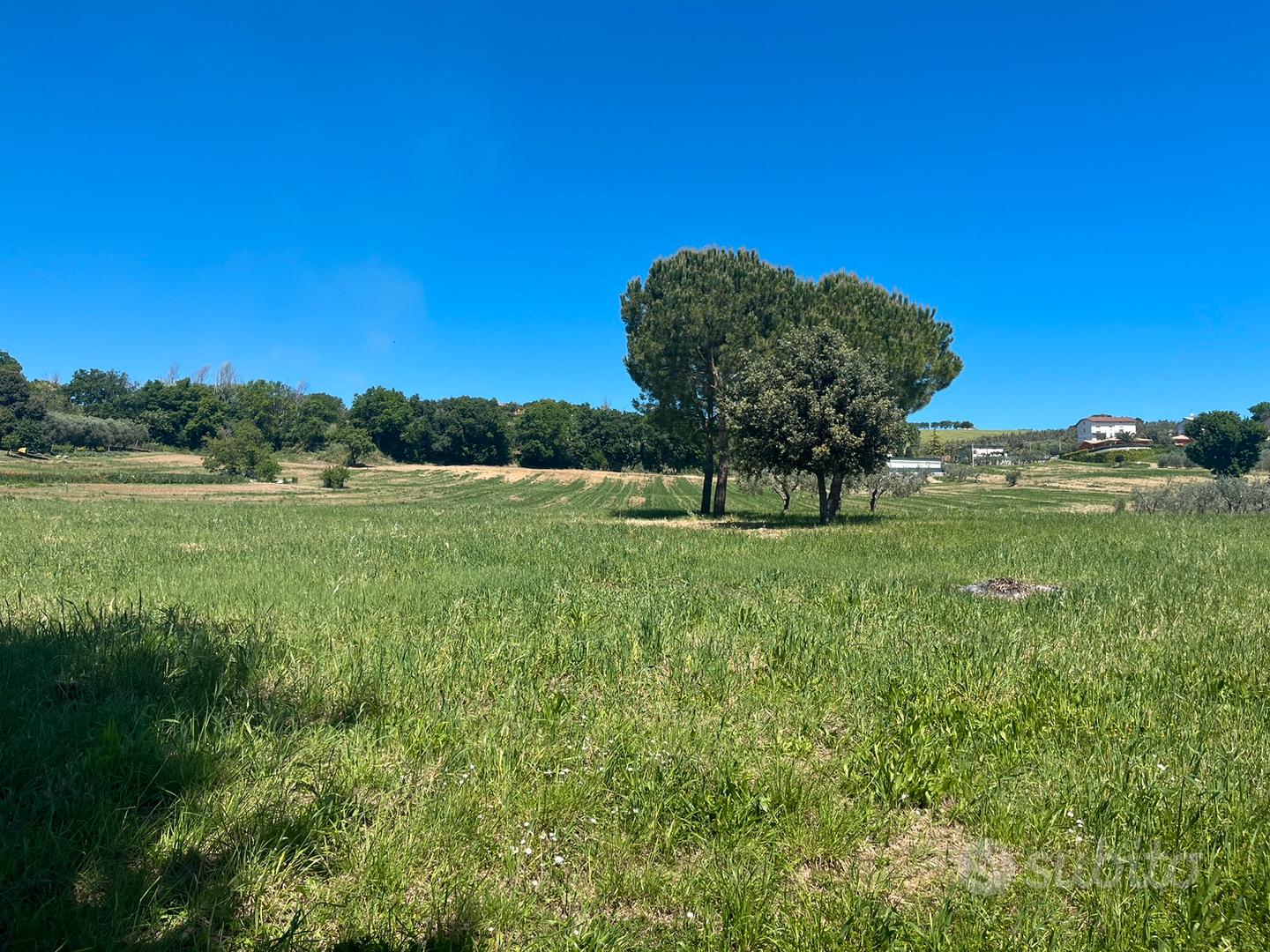 Terreno agricolo - Vista 3