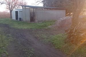 Terreno agricolo (noccioleto)