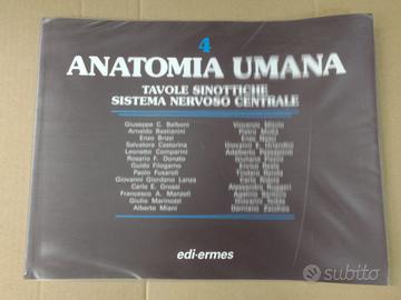 Anatomia umana