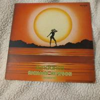 Disco Vinile LP 33 giri RICHARD HEWSON ORCHESTRA