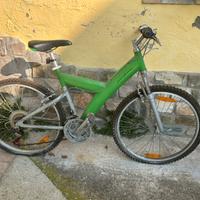 Mtb pinifarina
