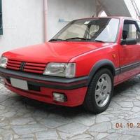 Parabrezza Peugeot 205
