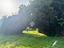 Immagine 19