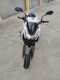 kawasaki z 1000