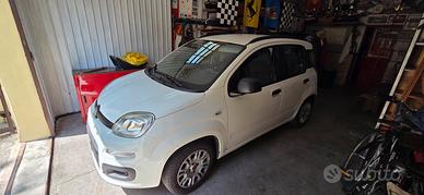 Fiat Panda 1.2 69cv 2014