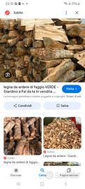 legna da ardere secca 