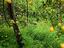 Immagine 20