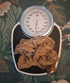 rosa del deserto pietra minerale