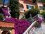 Immagine 27
