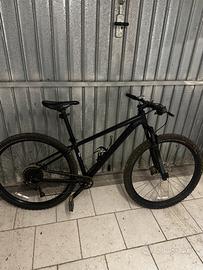 Bici MTB specialize