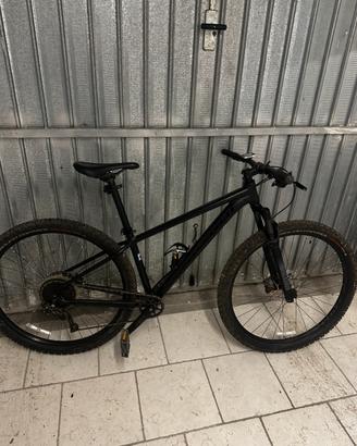 Bici MTB specialize