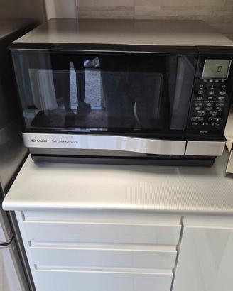 forno a microonde e vapore