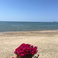 Villetta indipendente