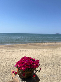 Villetta indipendente