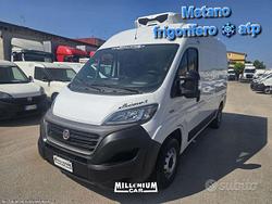 Ducato np 2020 frigorifero atp 0°