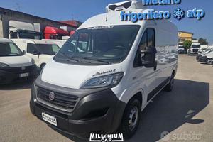 Ducato np 2020 frigorifero atp 0°