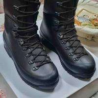 Anfibi per climi rigidi 43