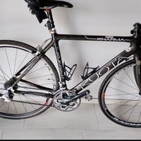Bici corsa kuota
