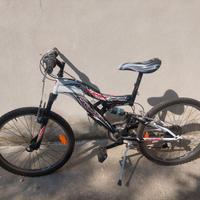 Mountain-bike ruota 24