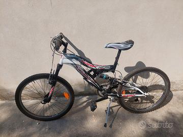 Mountain-bike ruota 24