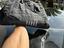 Immagine 1