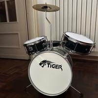 Batteria Tiger