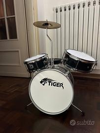 Batteria Tiger