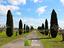 Immagine 23