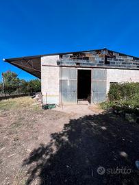 Vendita Capannone industriale a Samassi