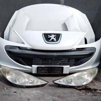 Peugeot 206 Plus 1.1 benzina 2005 Muso